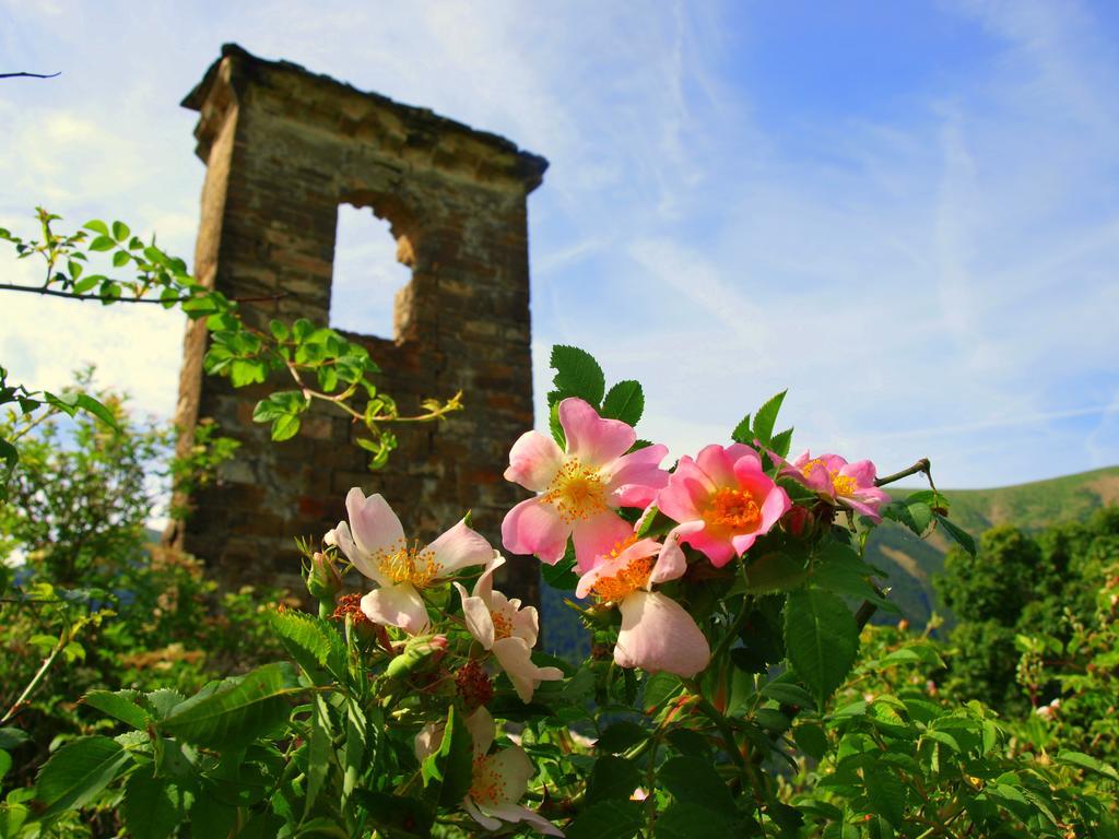 Casa Alba Ara Daire Oto Dış mekan fotoğraf